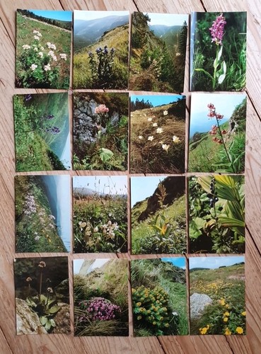 Postkartensatz květy krkonoš - postkartensatz,