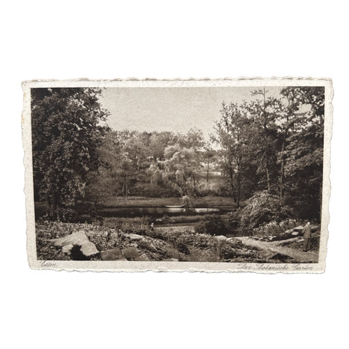 Postkarte essen botanischer - postkarte,