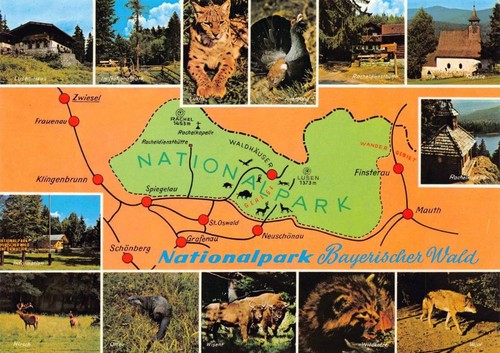 Postkarte nationalpark - postkarte,