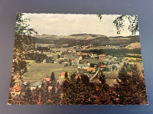 Hinterzarten ungelaufen cp - ,